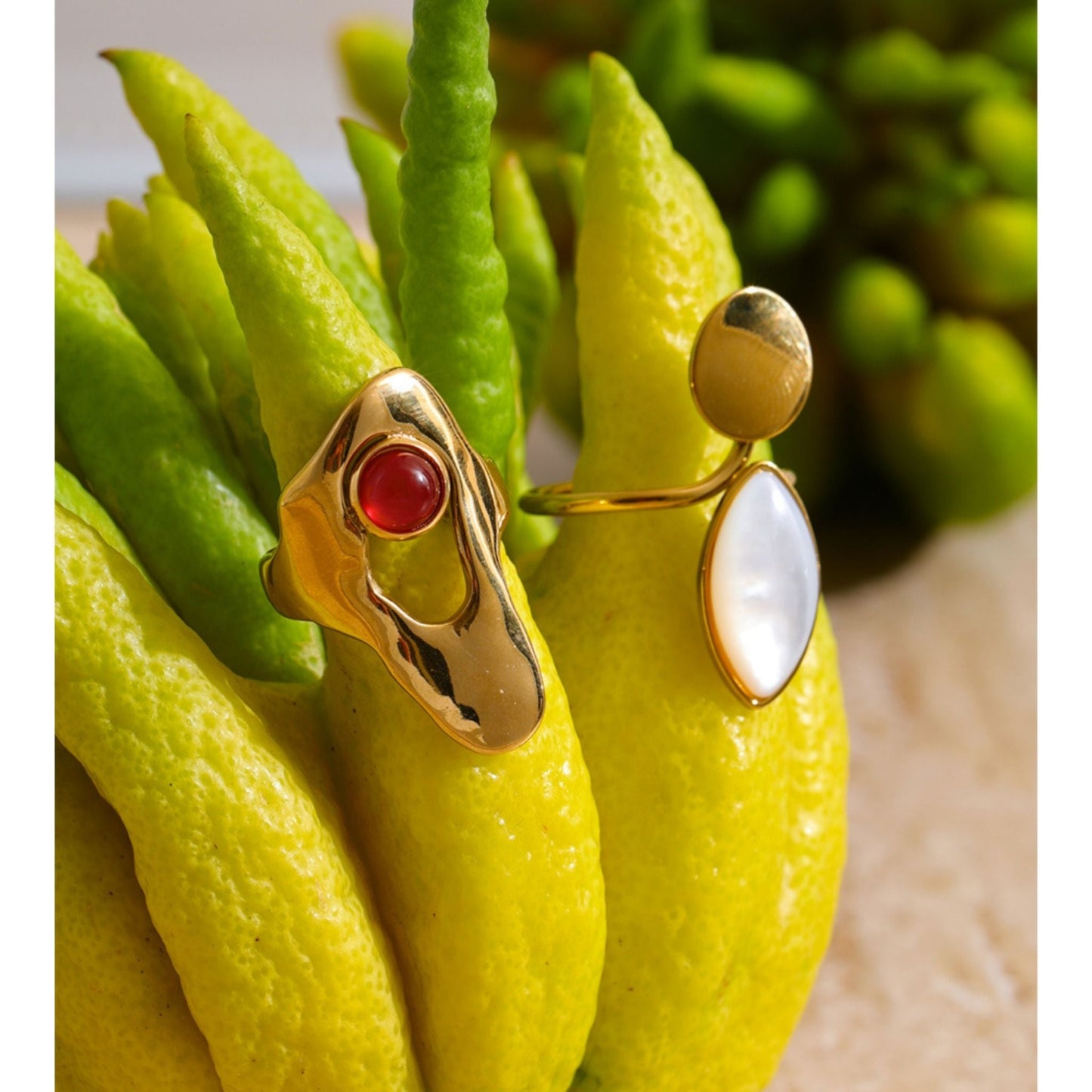 Luna Aura Adjustable Statement Gold Plated Ring — Red Agate & White Shell